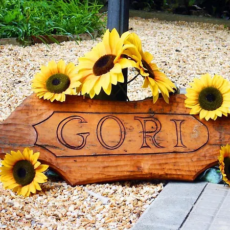 לינה וארוחת בוקר Casa Gori צ'רטאלדו