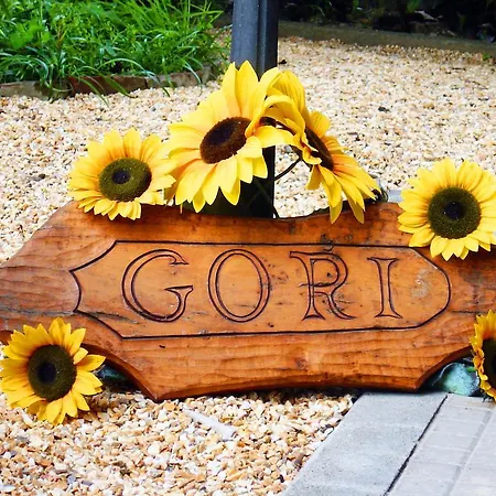 Frühstückspension Casa Gori Certaldo